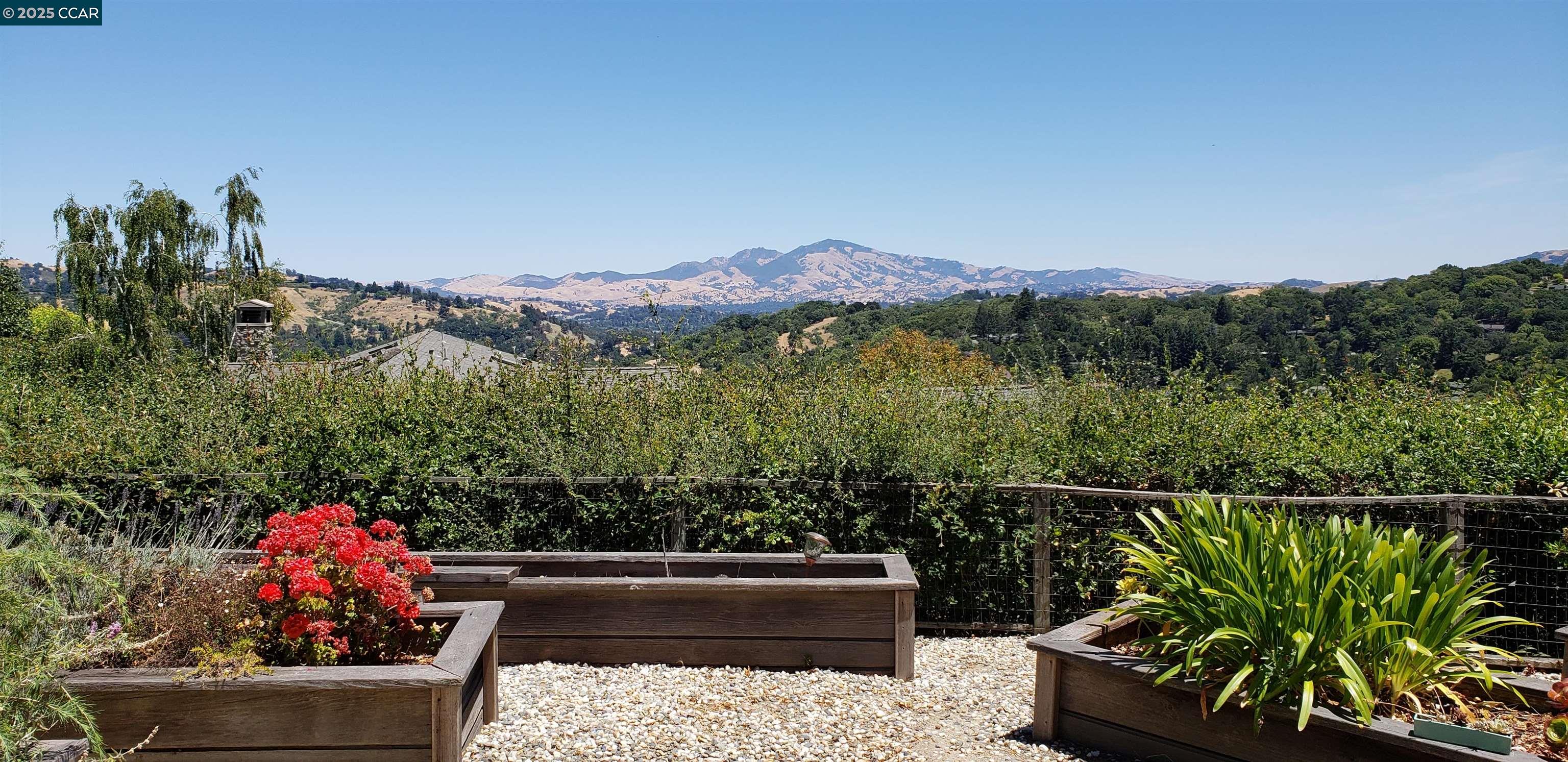 29 Chapel Drive Lafayette, CA 94549 - Photo 4 of 22 a view of a two chairs and a potted plant