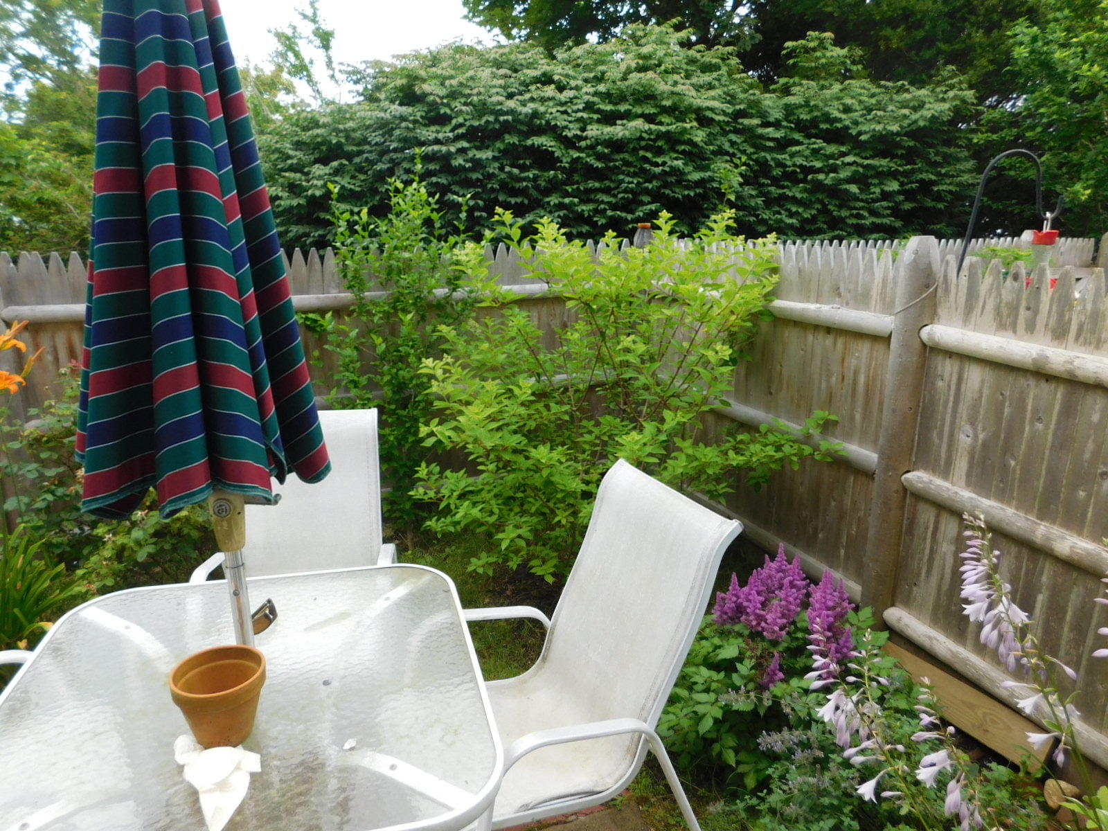 8 Captain Cook Lane Centerville, MA 02632 - Photo 11 of 12 DSCN3696