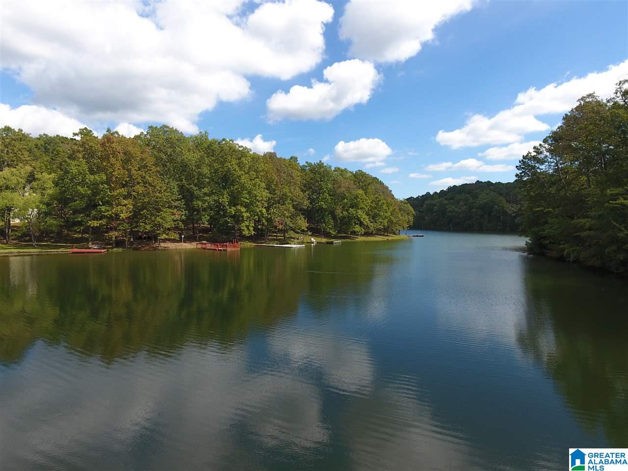 100 Fox Run Lineville, AL 36266 - Photo 9 of 30