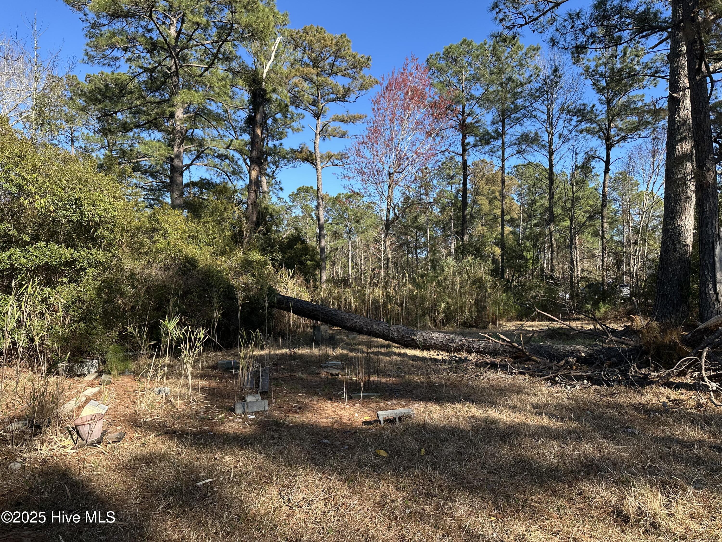 438 Firetower Road Beaufort, NC 28516 - Photo 4 of 7 2025-03-18 16.43.25