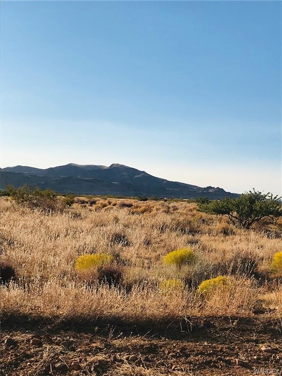 174 South Coolidge Road Golden Valley, AZ 86413 - Photo 2 of 8