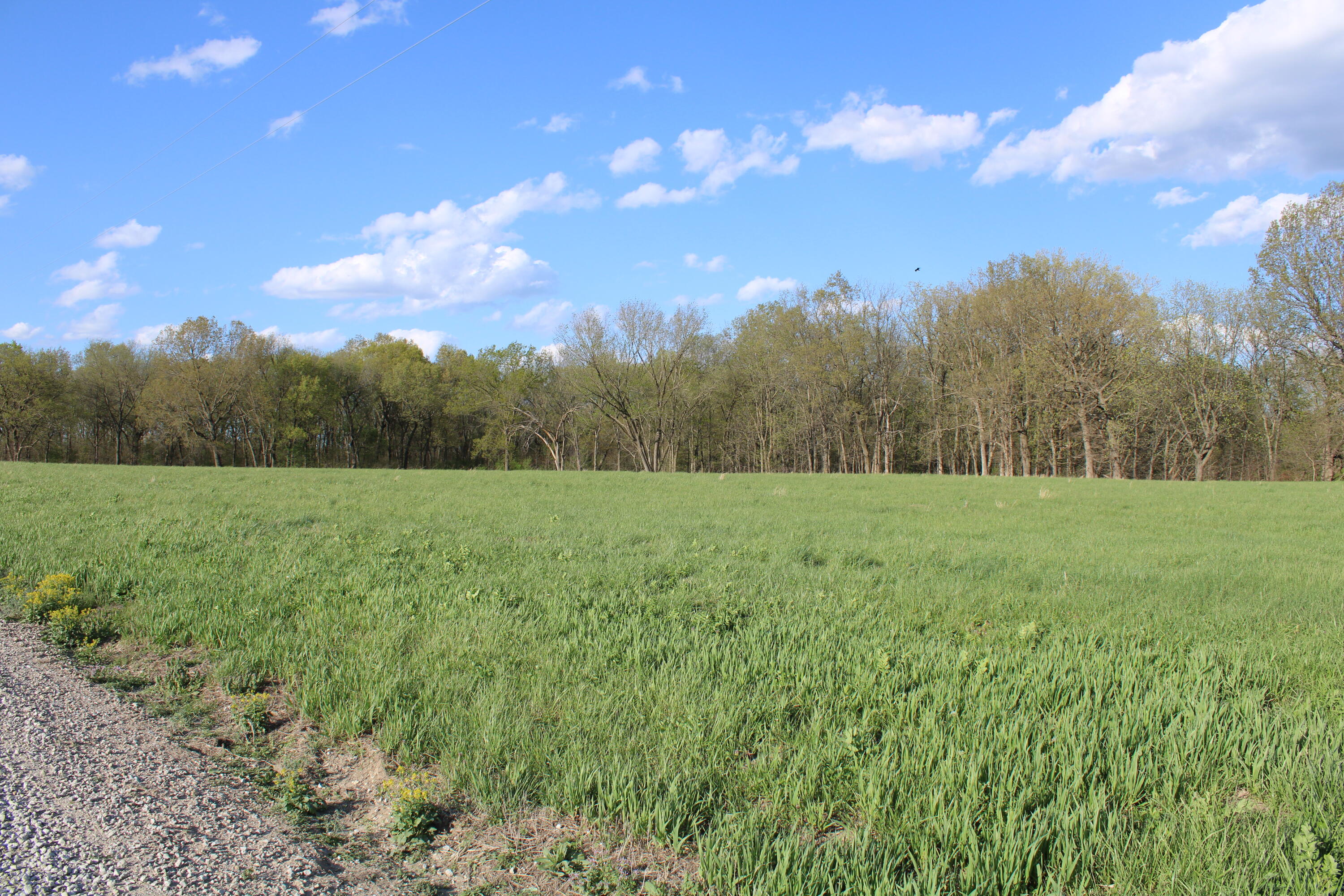 0 Northwest 401 Road Chilhowee, MO 64733 - Photo 1 of 1 IMG_0283