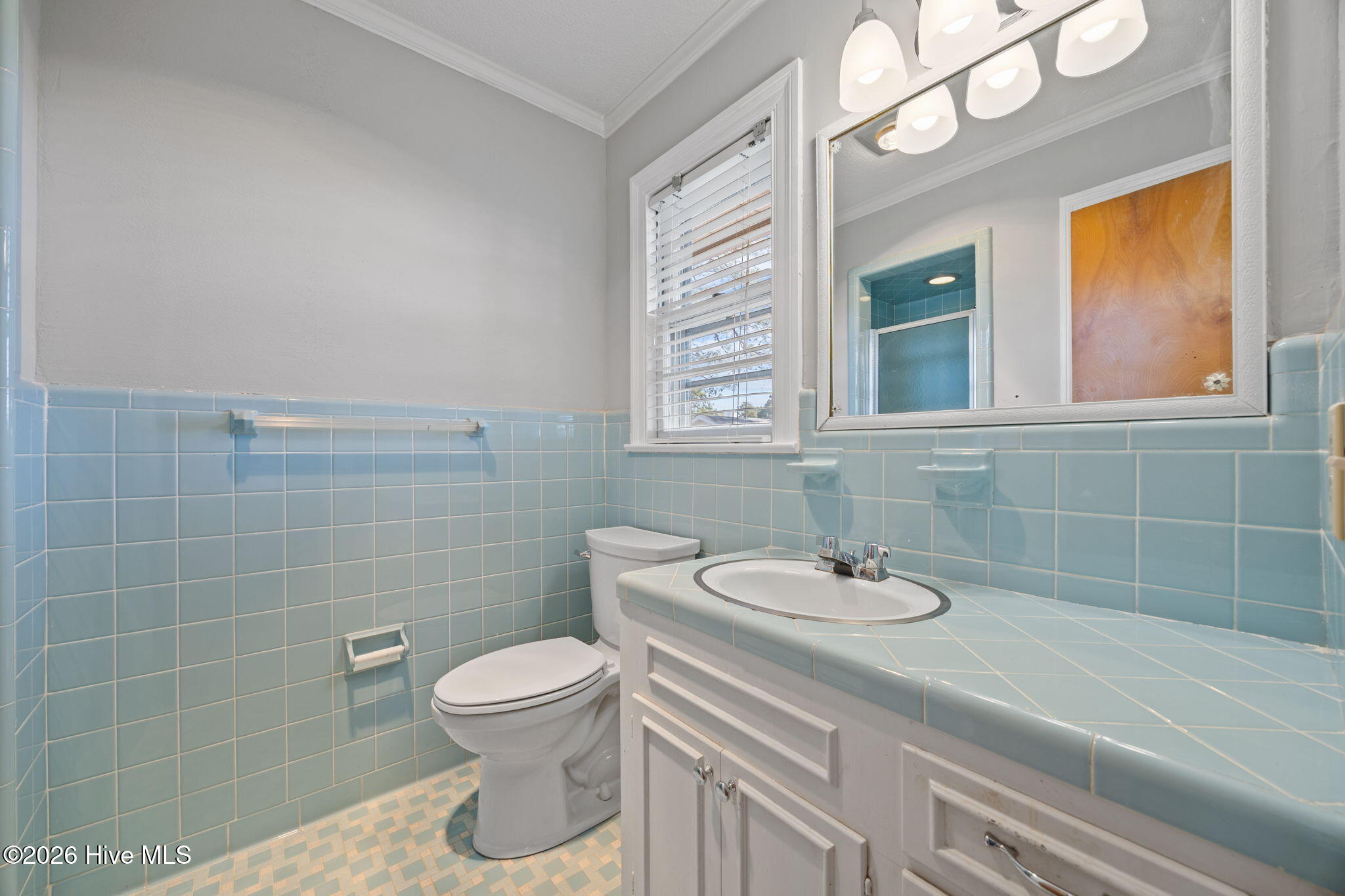 113 Vandiford-Thomas Road Snow Hill, NC 28580 - Photo 35 of 52 35-web-or-mls-IMG_0063