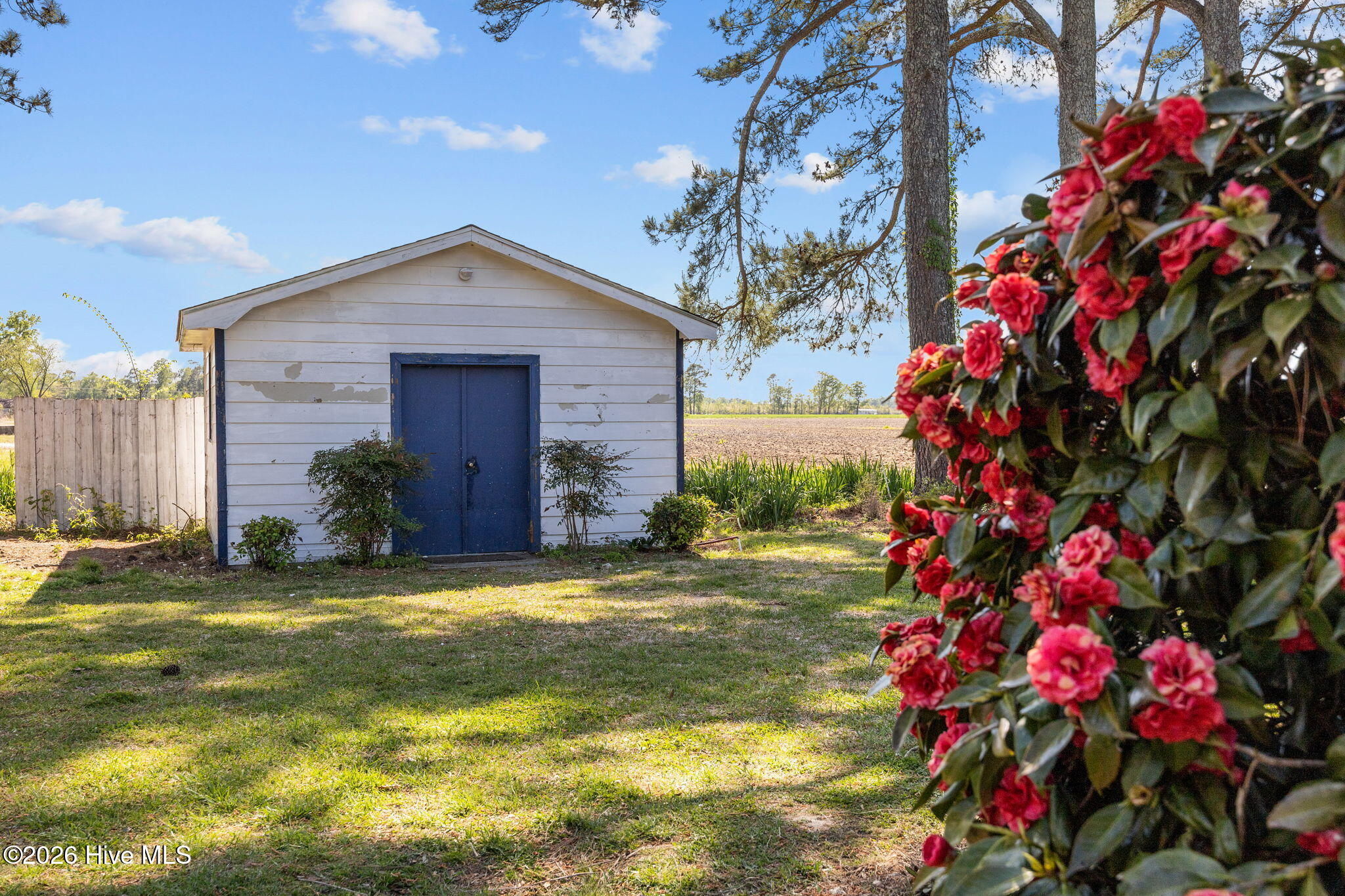 113 Vandiford-Thomas Road Snow Hill, NC 28580 - Photo 48 of 52 48-web-or-mls-IMG_0096