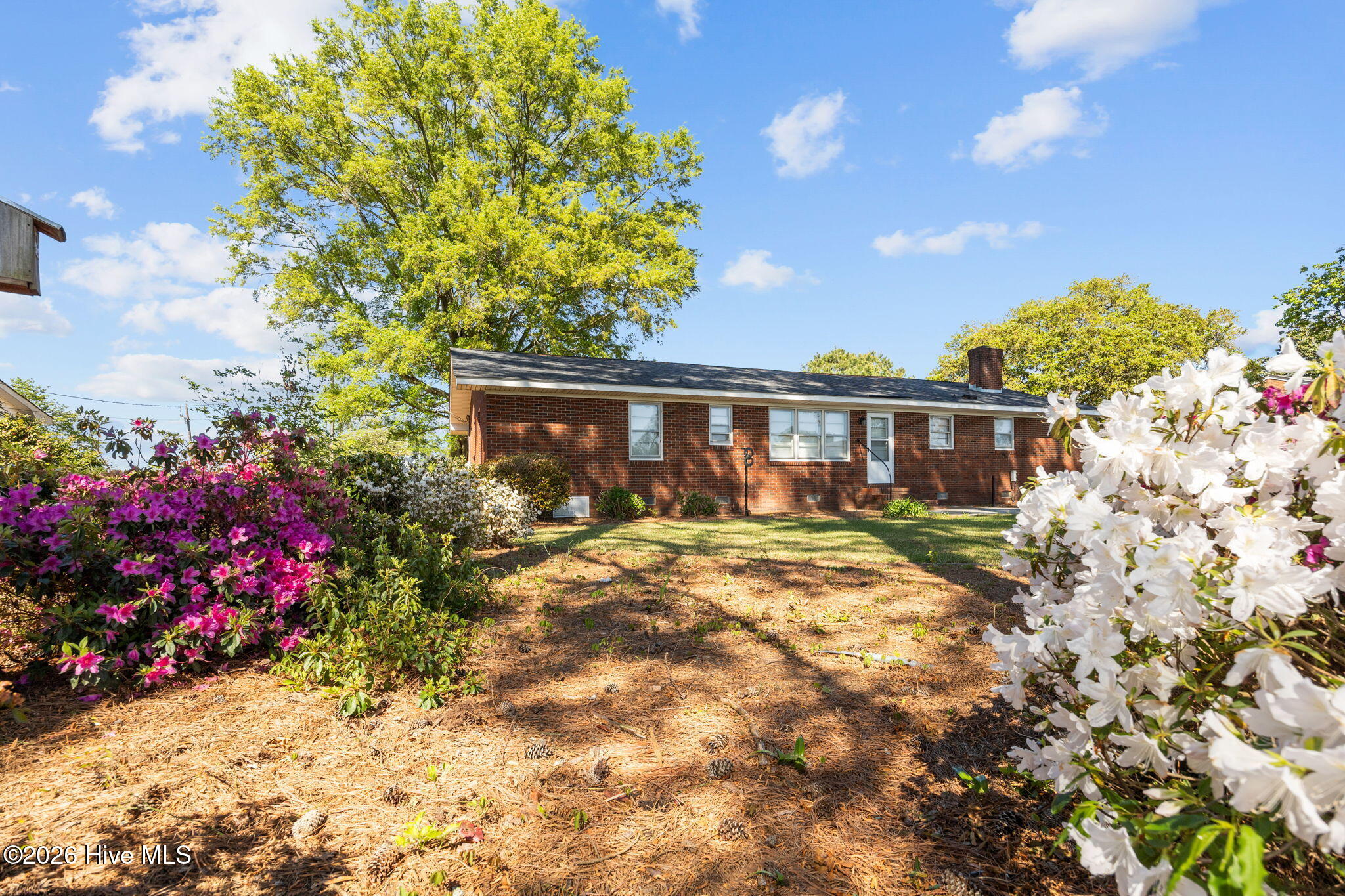 113 Vandiford-Thomas Road Snow Hill, NC 28580 - Photo 49 of 52 49-web-or-mls-IMG_0099