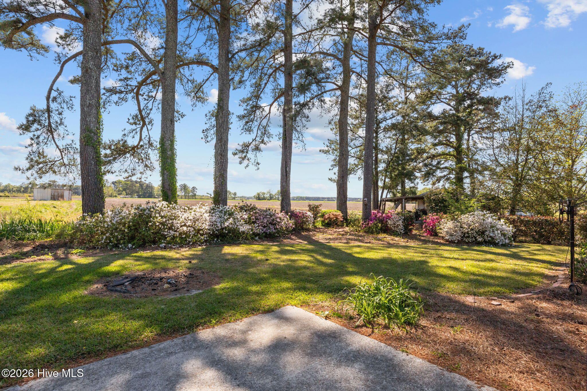 113 Vandiford-Thomas Road Snow Hill, NC 28580 - Photo 52 of 52 52-web-or-mls-IMG_0102