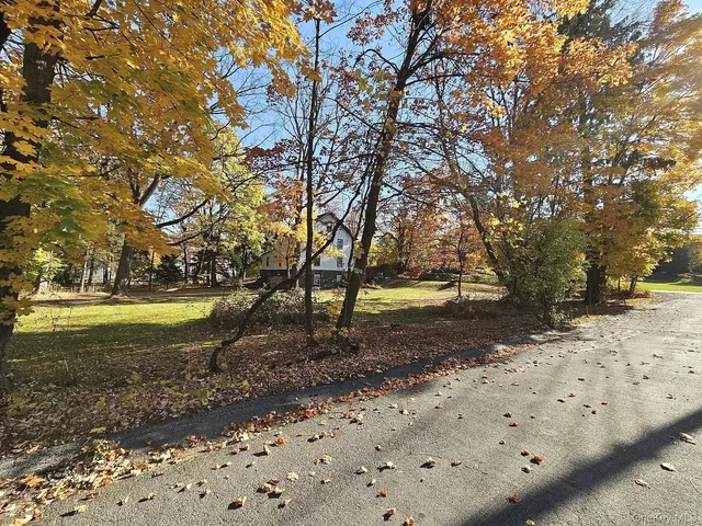 a view of backyard with green space
