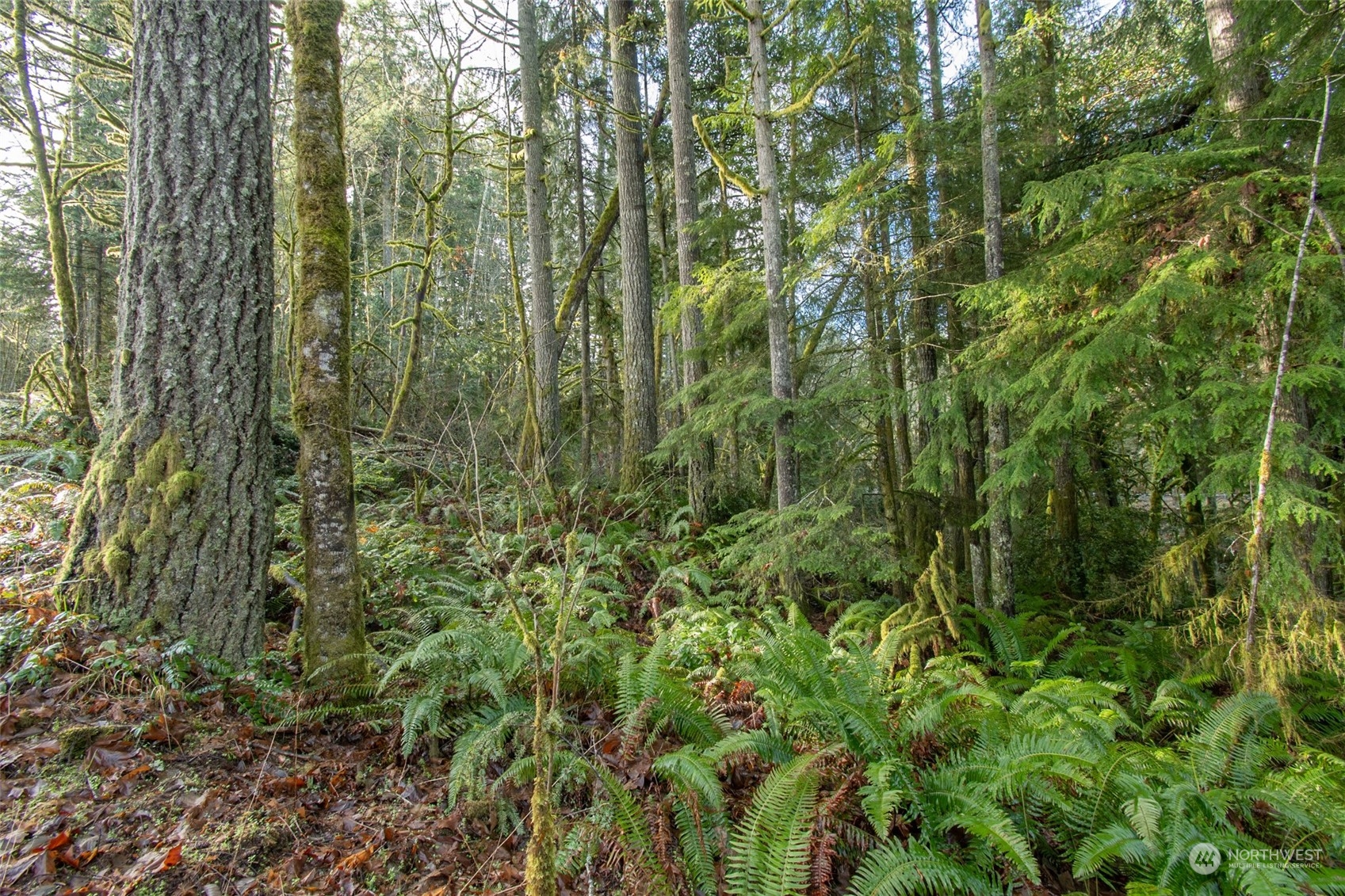 4871 Feigley Road West Port Orchard, WA 98367 - Photo 15 of 29 Gallery Image 15