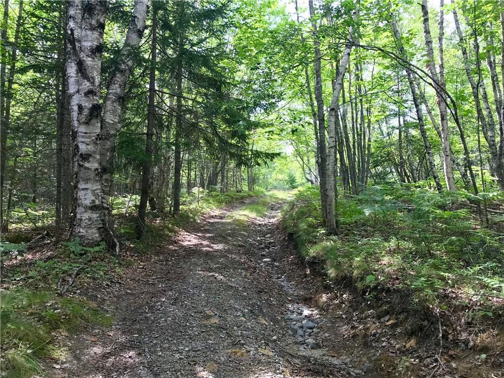 0 Pineo Point Road Harrington, ME 04643 - Photo 18 of 39 road 1