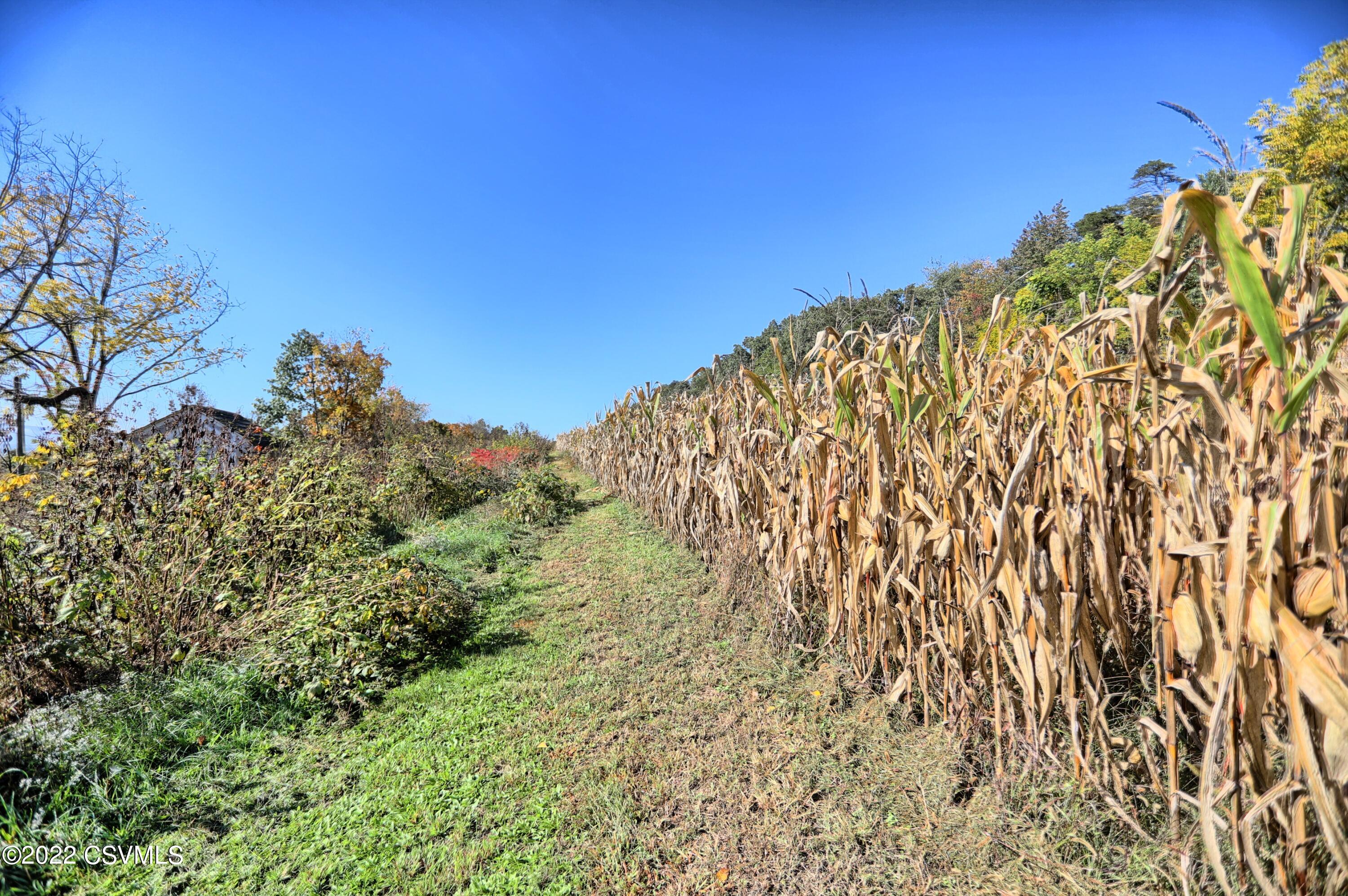 6773 Old Stage Road McClure, PA 17841 - Photo 20 of 49