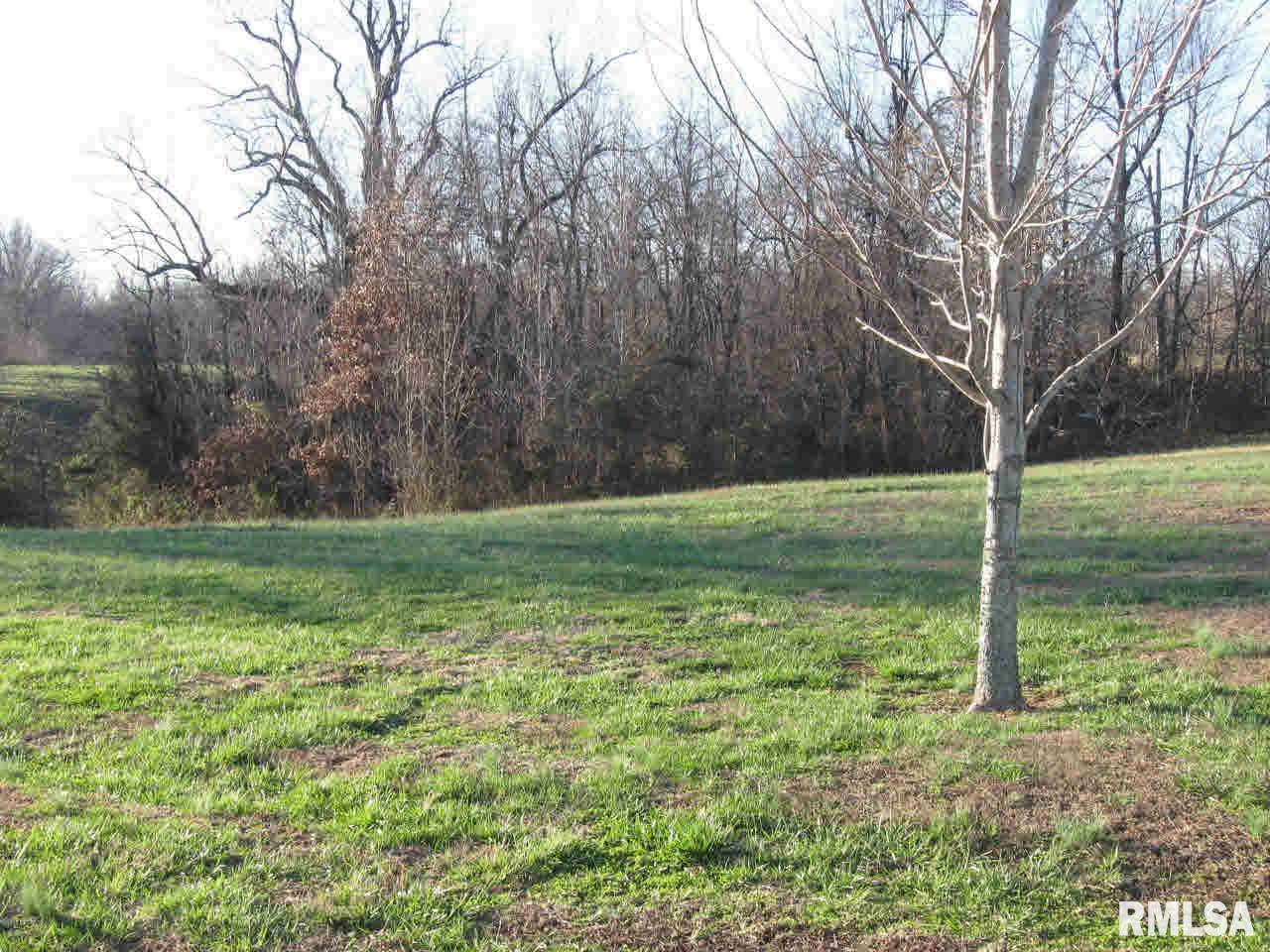 995 Bethlehem Road Olmsted, IL 62970 - Photo 3 of 4 Gallery Image 3