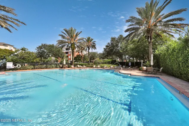 a view of a yard with palm trees