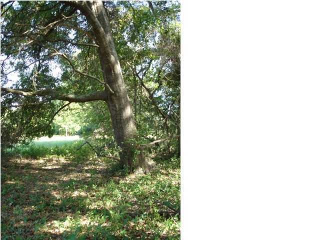 7646 Point Of Pines Road Edisto Island, SC 29438 - Photo 5 of 7 Additional Photo