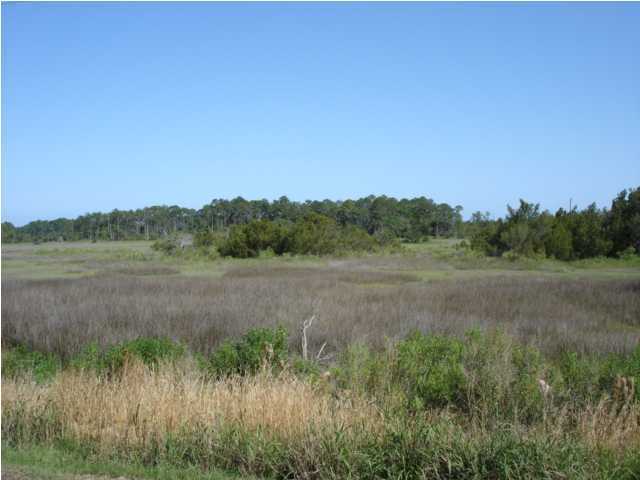 7646 Point Of Pines Road Edisto Island, SC 29438 - Photo 6 of 7 Additional Photo