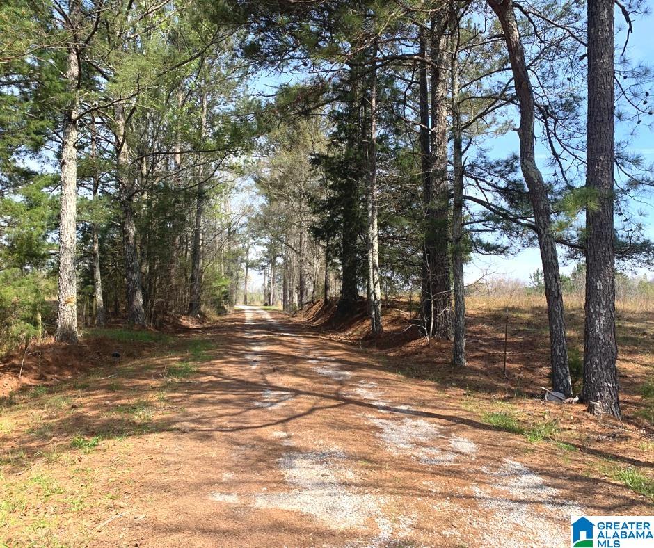 0 Alabama Highway Ohatchee, AL 36271 - Photo 1 of 10
