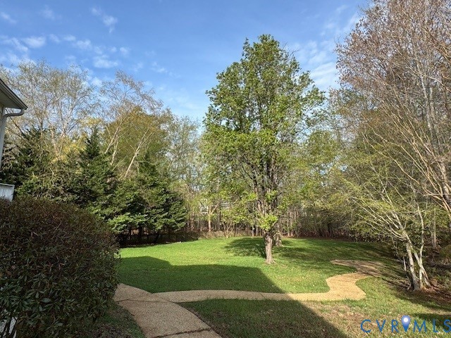 14307 Abbots Ridge Court Midlothian, VA 23113 - Photo 12 of 16 a view of a backyard