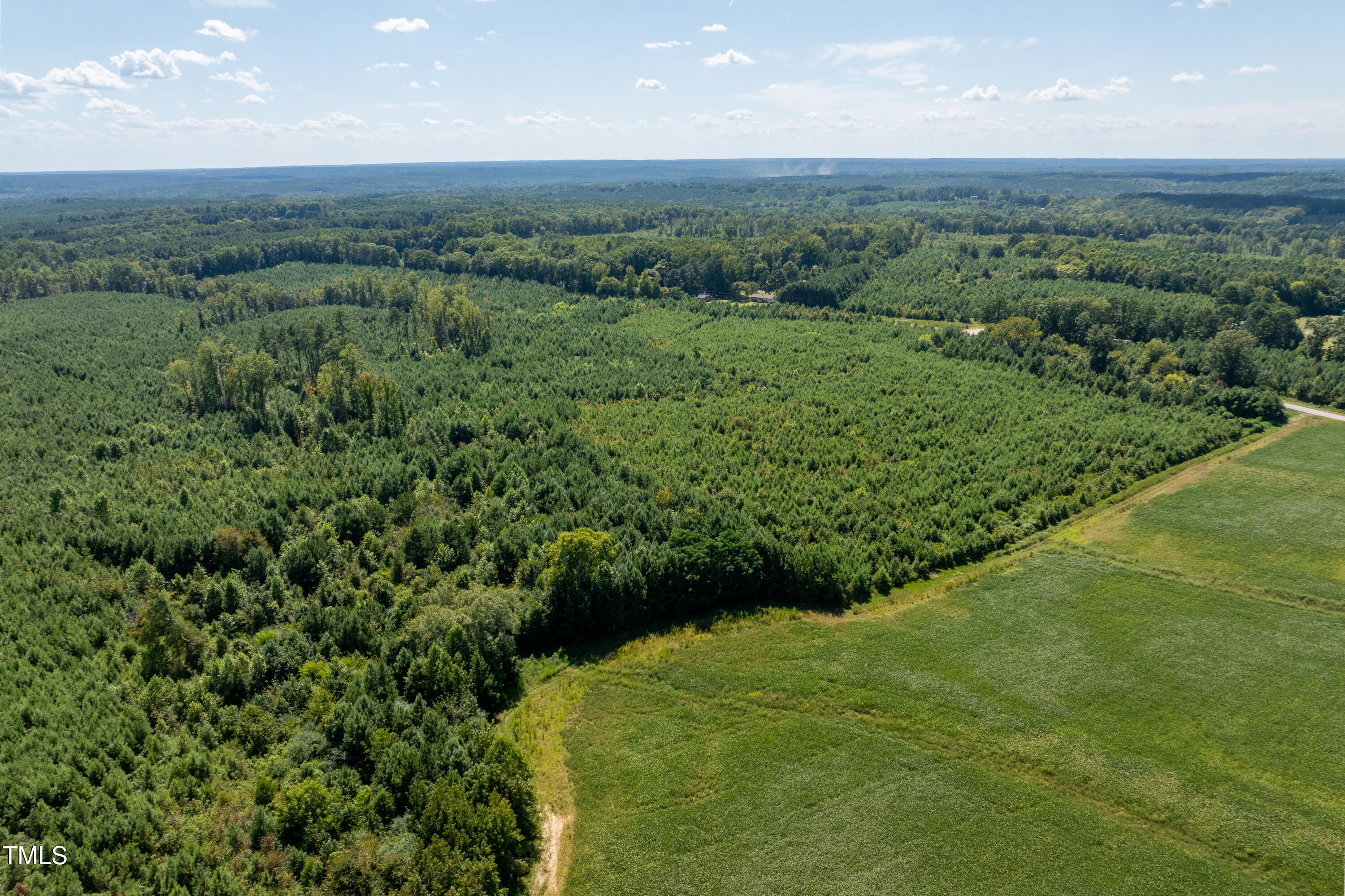 2 Julie McKnight Road Kittrell, NC 27544 - Photo 13 of 34 a view of a lush green forest with lots of trees