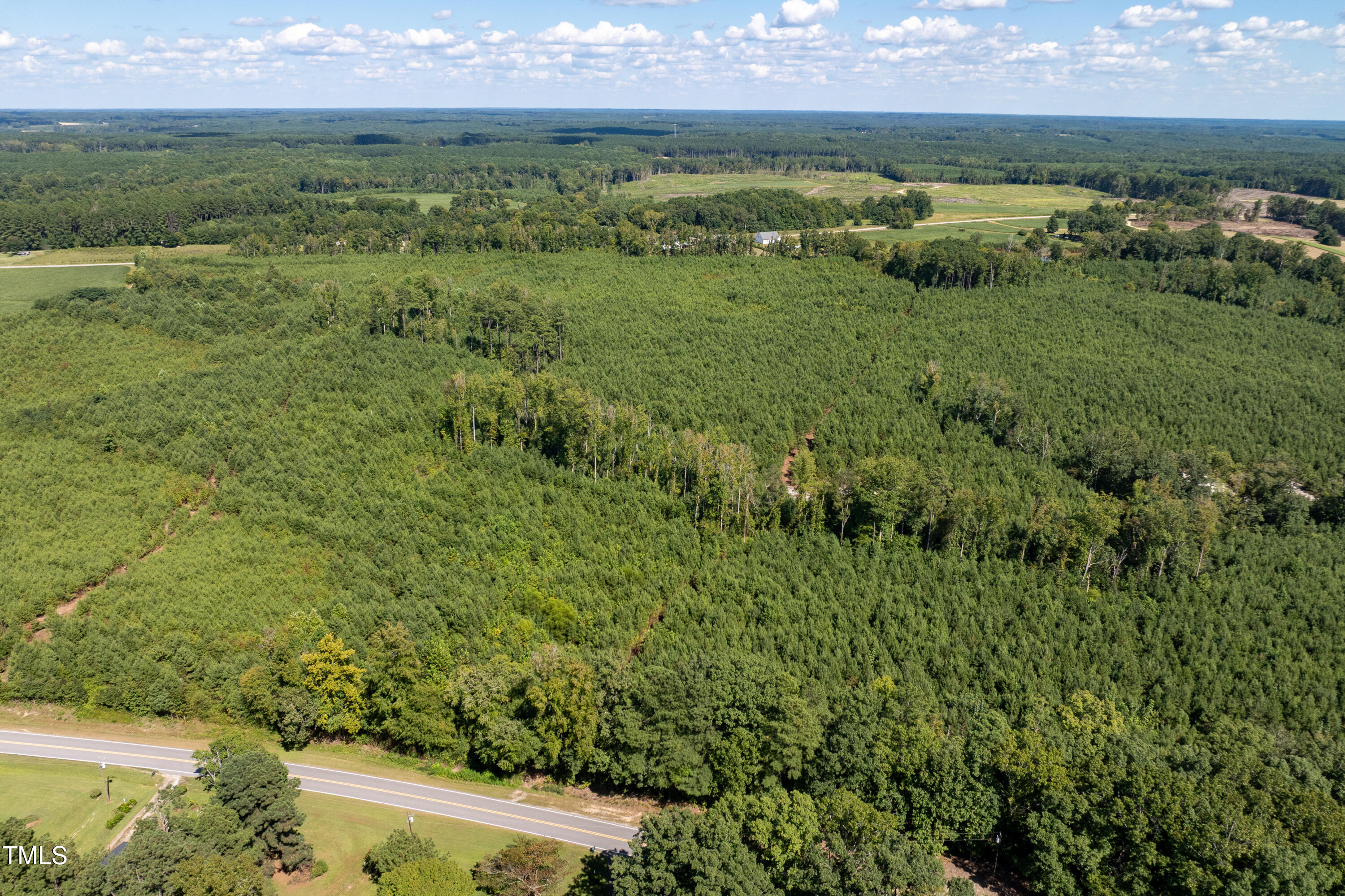 2 Julie McKnight Road Kittrell, NC 27544 - Photo 23 of 29 a view of a lush green forest with lots of trees