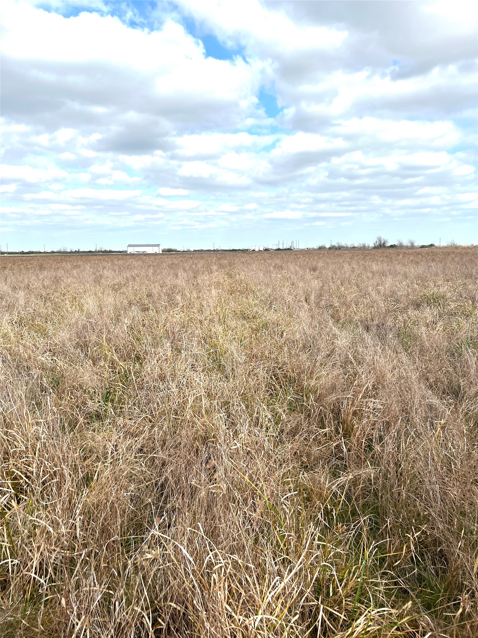 Tbd Lot 2 Tbd Road Eagle Lake, TX 77434 - Photo 16 of 24 Expansive open land with natural ground cover