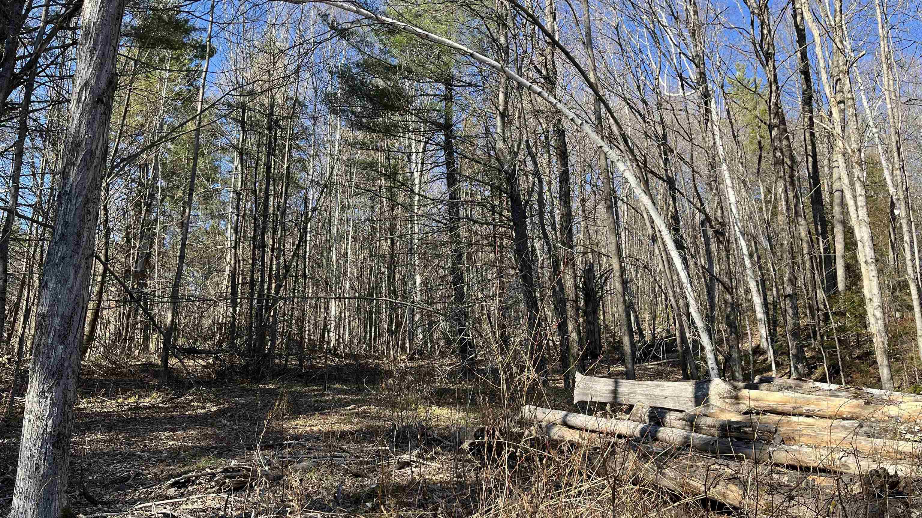 Dix Hill Road, Unit 23 Ludlow, VT 05149 - Photo 7 of 28