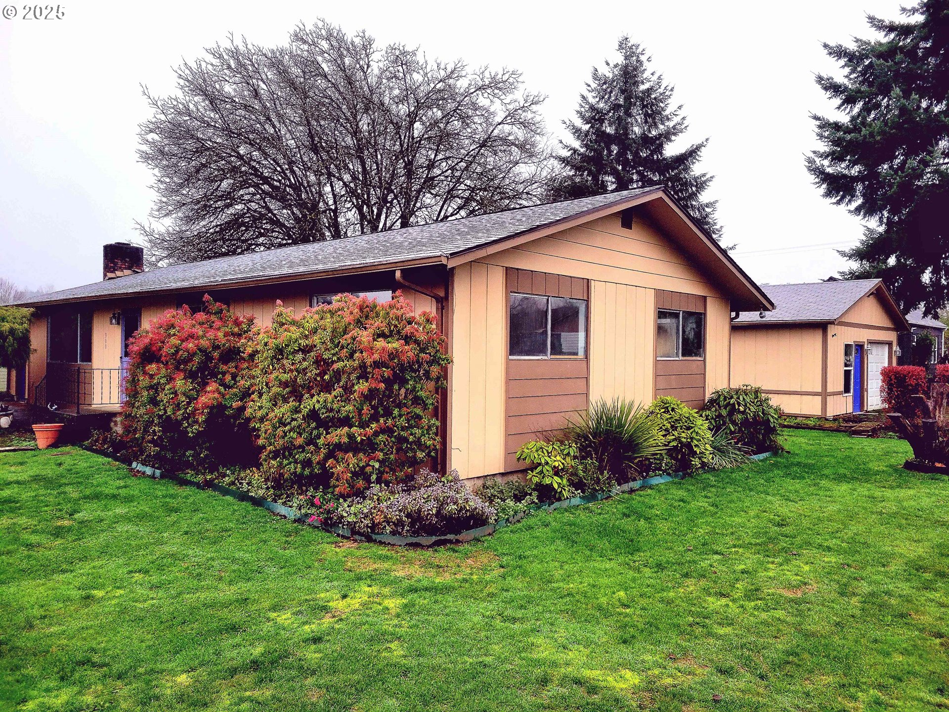 300 Maple Street Toledo, WA 98591 - Photo 1 of 19