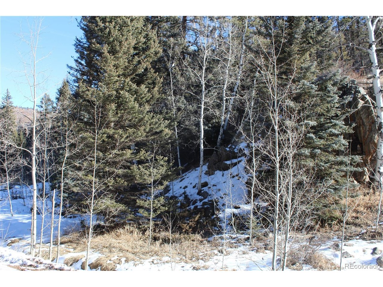 1 Co Road Westcliffe, CO 81252 - Photo 40 of 42 Winter
