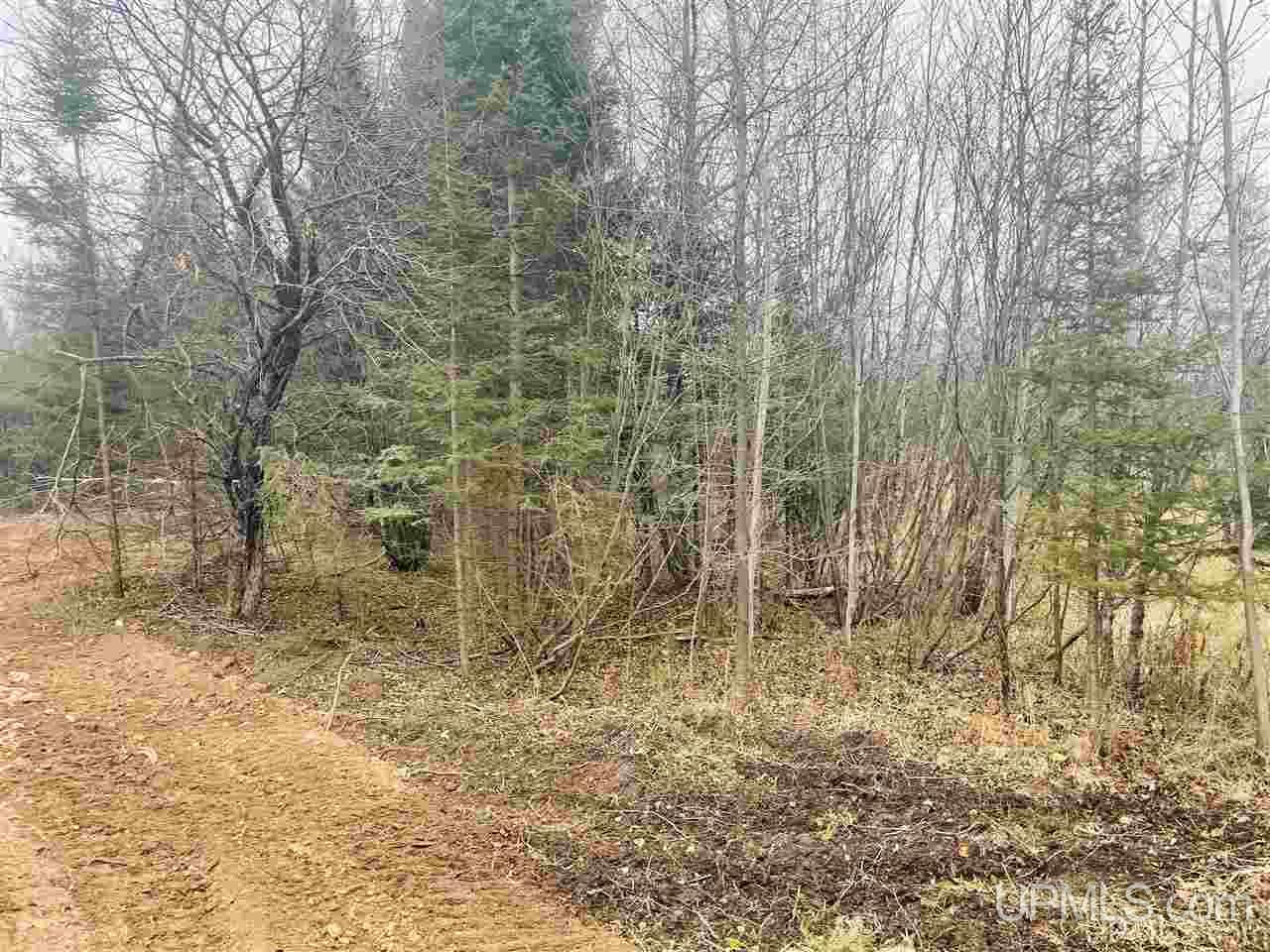 Tbd St Nicholas Road Rock, MI 49880 - Photo 11 of 22