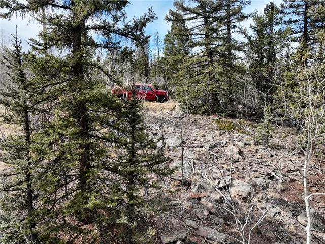 a view of outdoor space and a yard