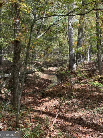 $1,609,520 | 0 Maria Lane, Midland, GA 31820