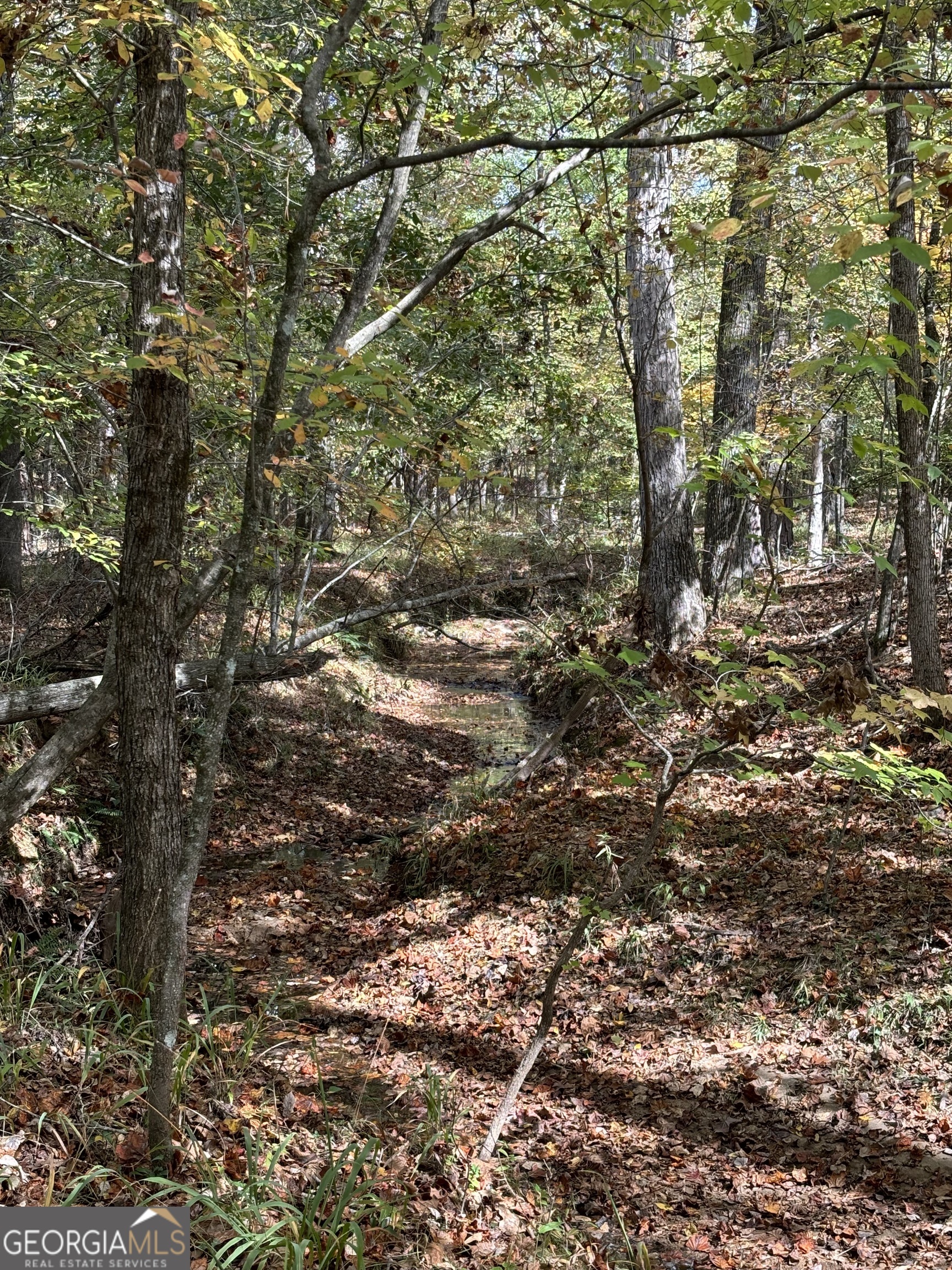 0 Maria Lane Midland, GA 31820 - Photo 11 of 12