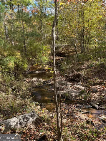 $1,609,520 | 0 Maria Lane, Midland, GA 31820