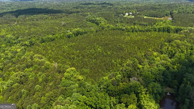 $1,609,520 | 0 Maria Lane, Midland, GA 31820