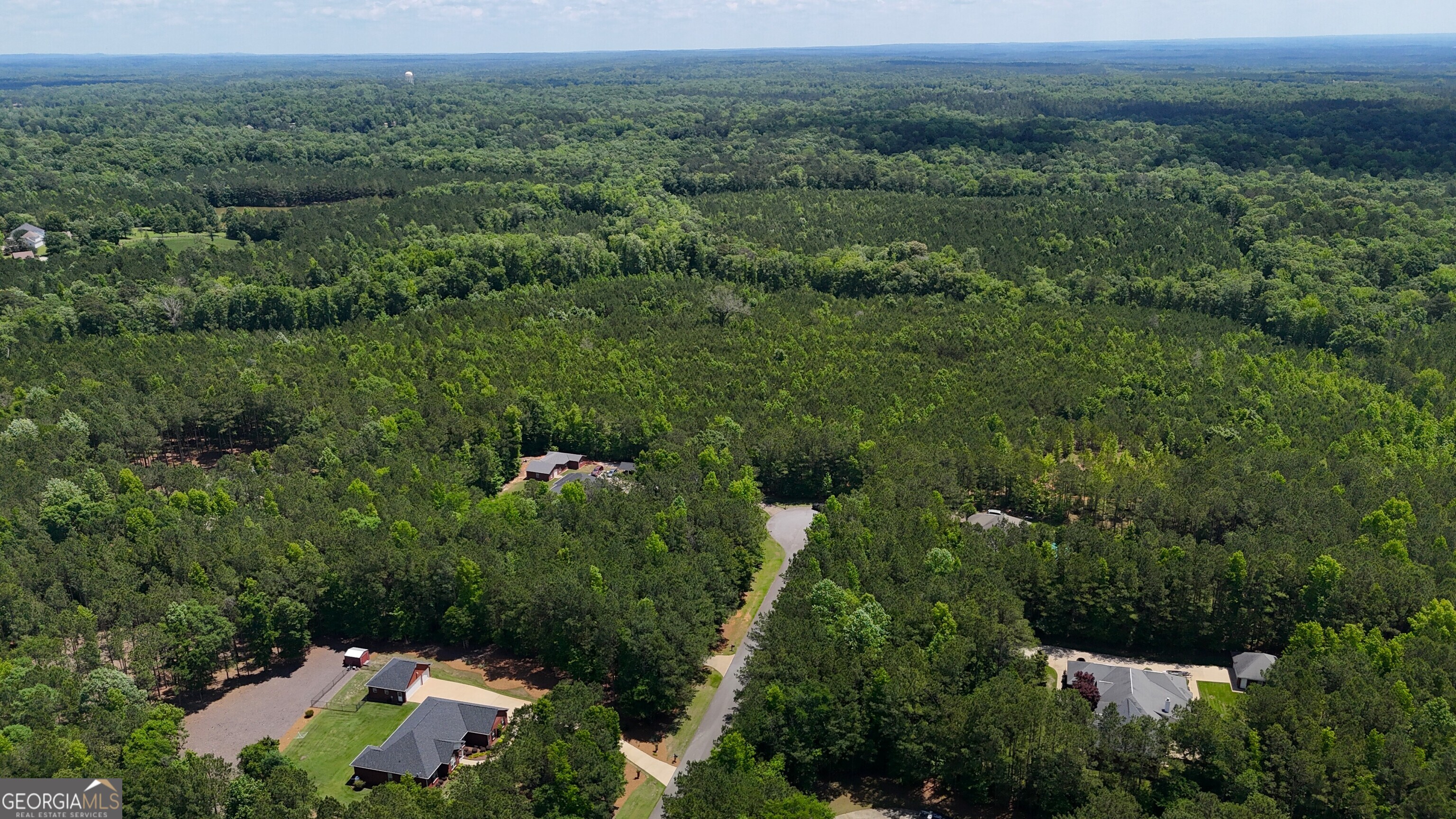 0 Maria Lane Midland, GA 31820 - Photo 6 of 12