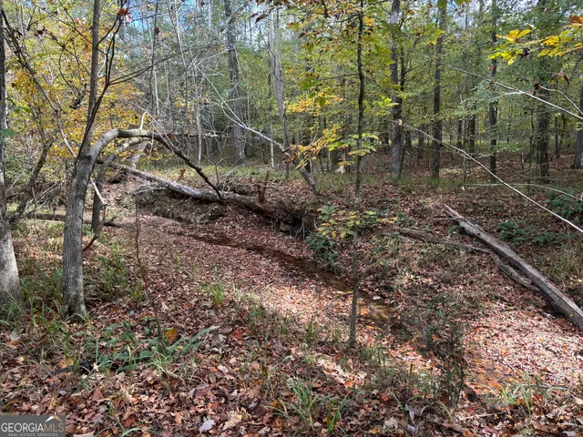 $1,609,520 | 0 Maria Lane, Midland, GA 31820