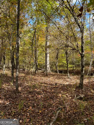 $1,609,520 | 0 Maria Lane, Midland, GA 31820