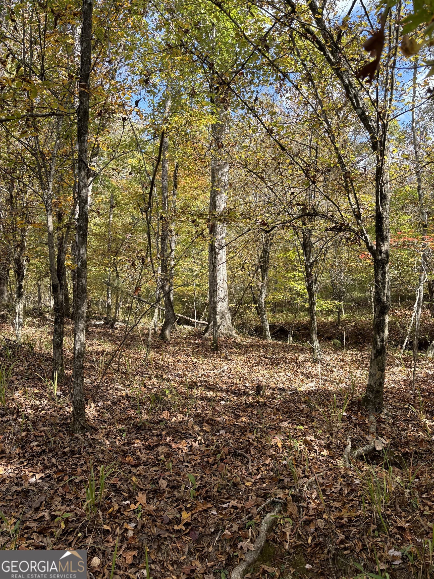 0 Maria Lane Midland, GA 31820 - Photo 8 of 12