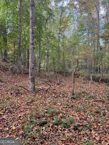 $1,609,520 | 0 Maria Lane, Midland, GA 31820