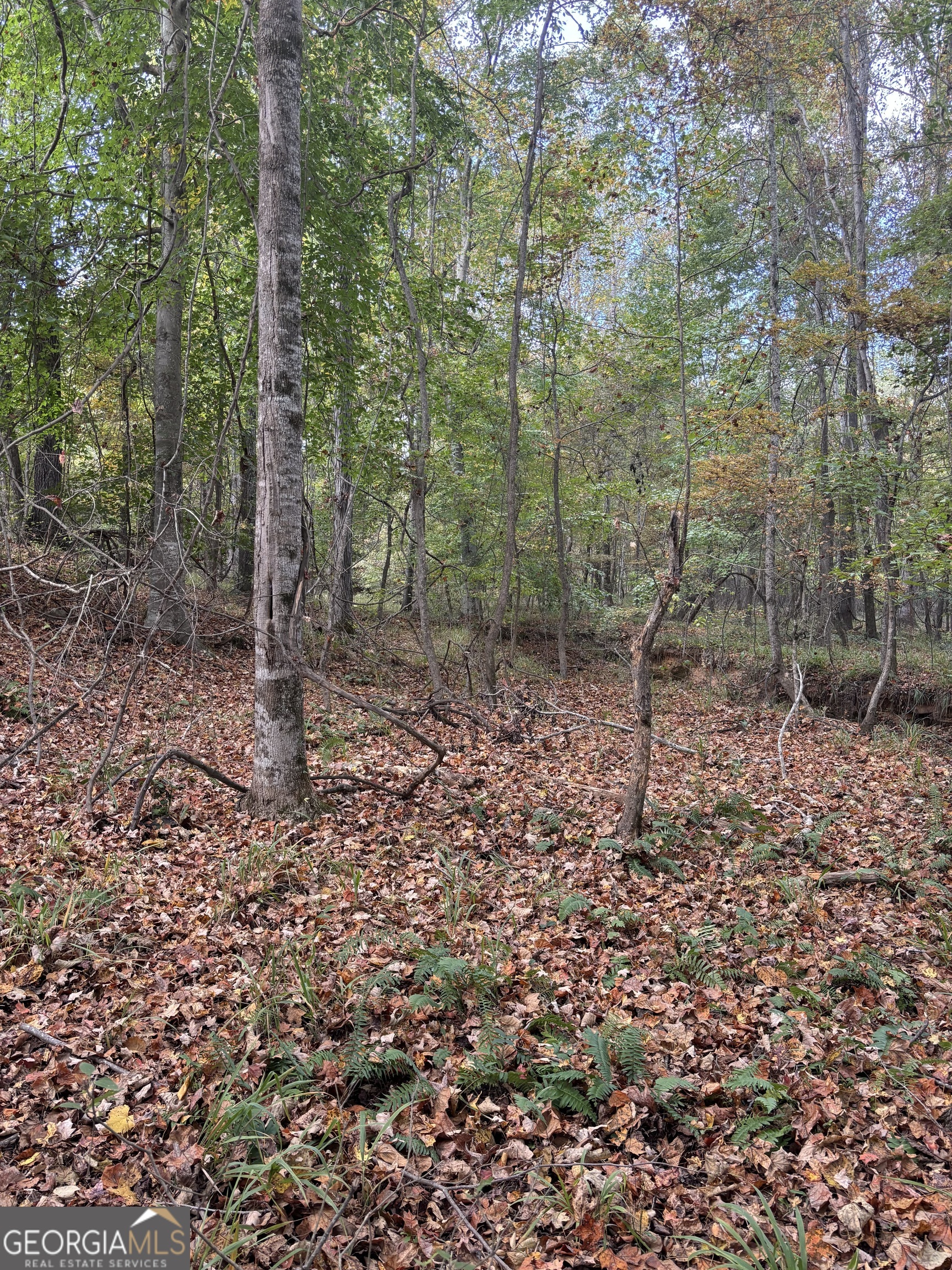 0 Maria Lane Midland, GA 31820 - Photo 9 of 12