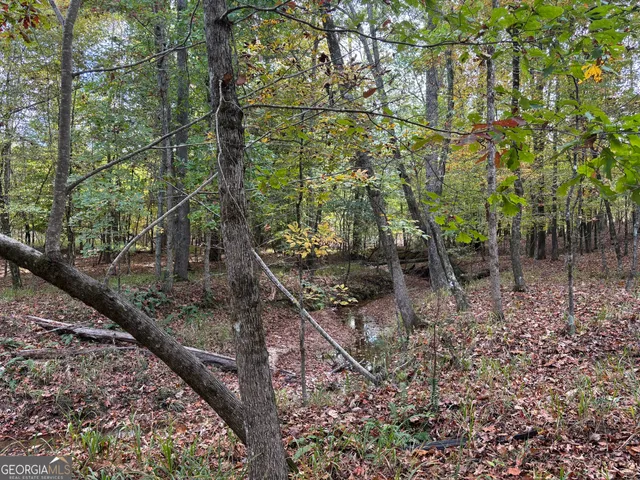 $1,609,520 | 0 Maria Lane, Midland, GA 31820