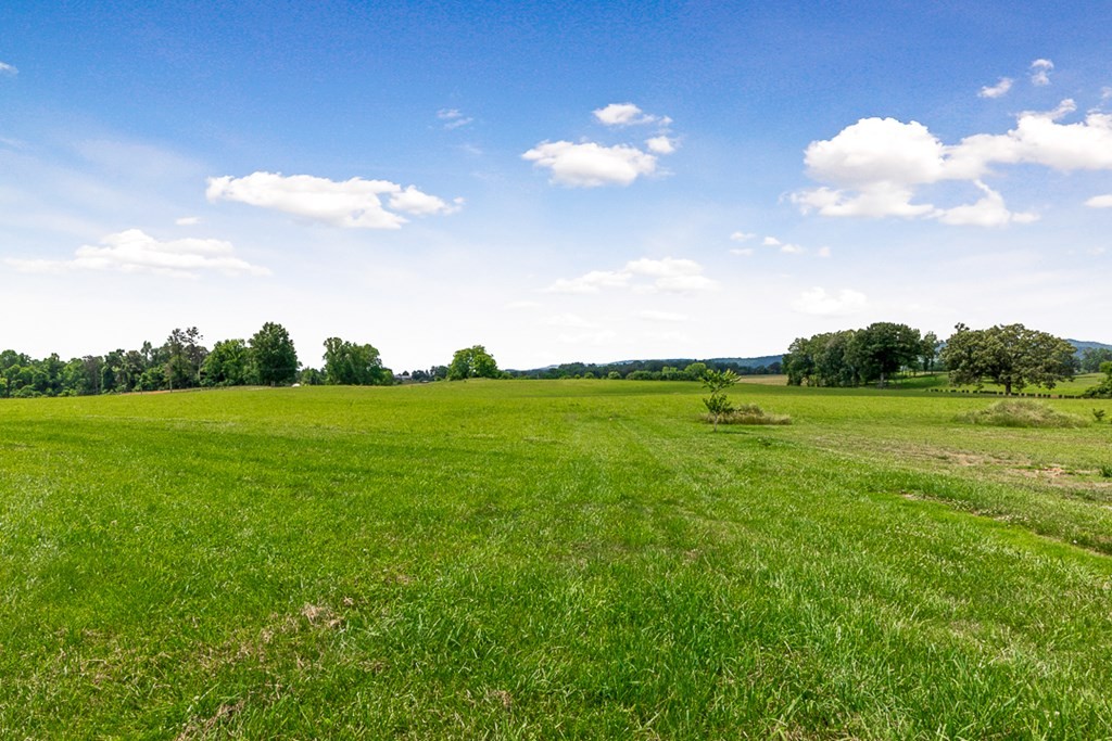 226 Old Shellsford Road McMinnville, TN 37110 - Photo 52 of 60 Gallery Image 52