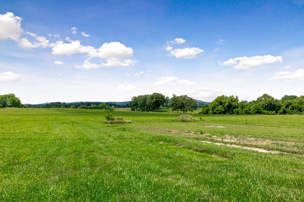 226 Old Shellsford Road McMinnville, TN 37110 - Photo 53 of 60 Gallery Image 53