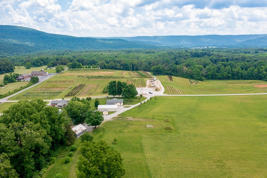 226 Old Shellsford Road McMinnville, TN 37110 - Photo 55 of 60 Gallery Image 55