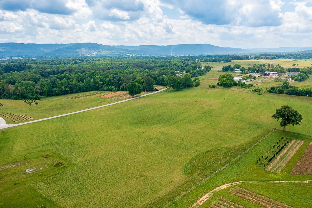 226 Old Shellsford Road McMinnville, TN 37110 - Photo 10 of 60 Gallery Image 10