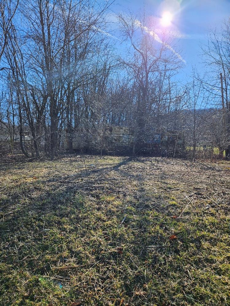 344 Dry Fork Road, Unit 9 Chilhowie, VA 24319 - Photo 1 of 4 Gallery Image 1