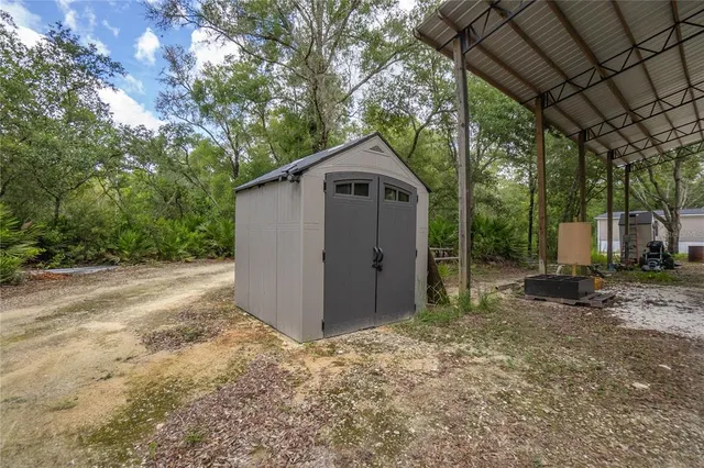 a view of a large yard with plants and large trees