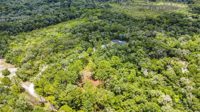 a view of a big yard with plants and large trees