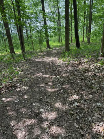 $308,000 | V/l Scottdale Road, Berrien Springs, MI 49103