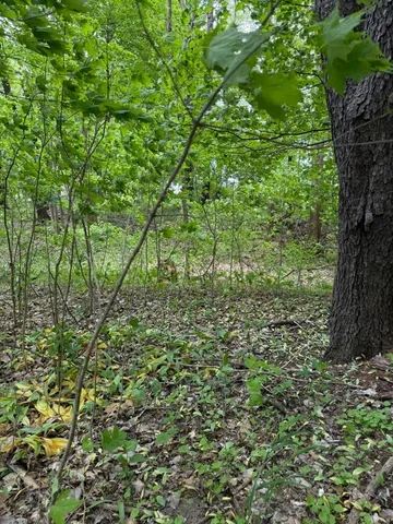 $308,000 | V/l Scottdale Road, Berrien Springs, MI 49103