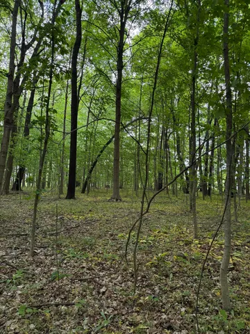 $308,000 | V/l Scottdale Road, Berrien Springs, MI 49103