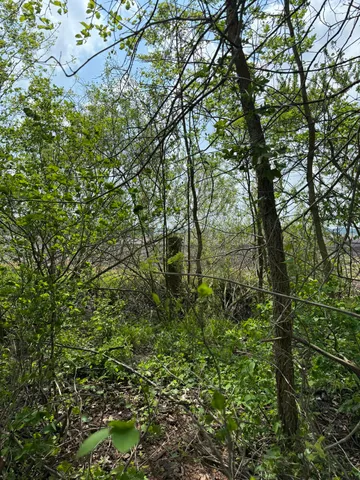 $308,000 | V/l Scottdale Road, Berrien Springs, MI 49103